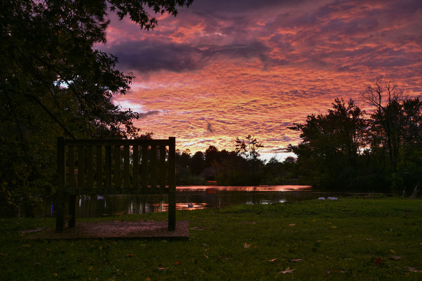 Duck Pond Sunset